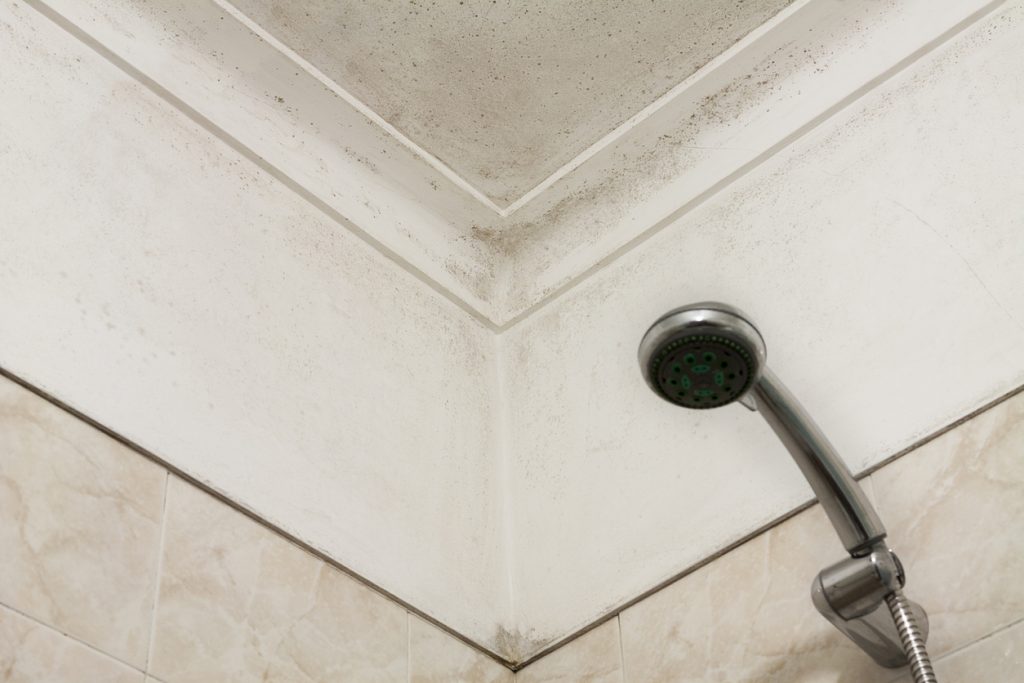 A moldy corner in the bathroom.